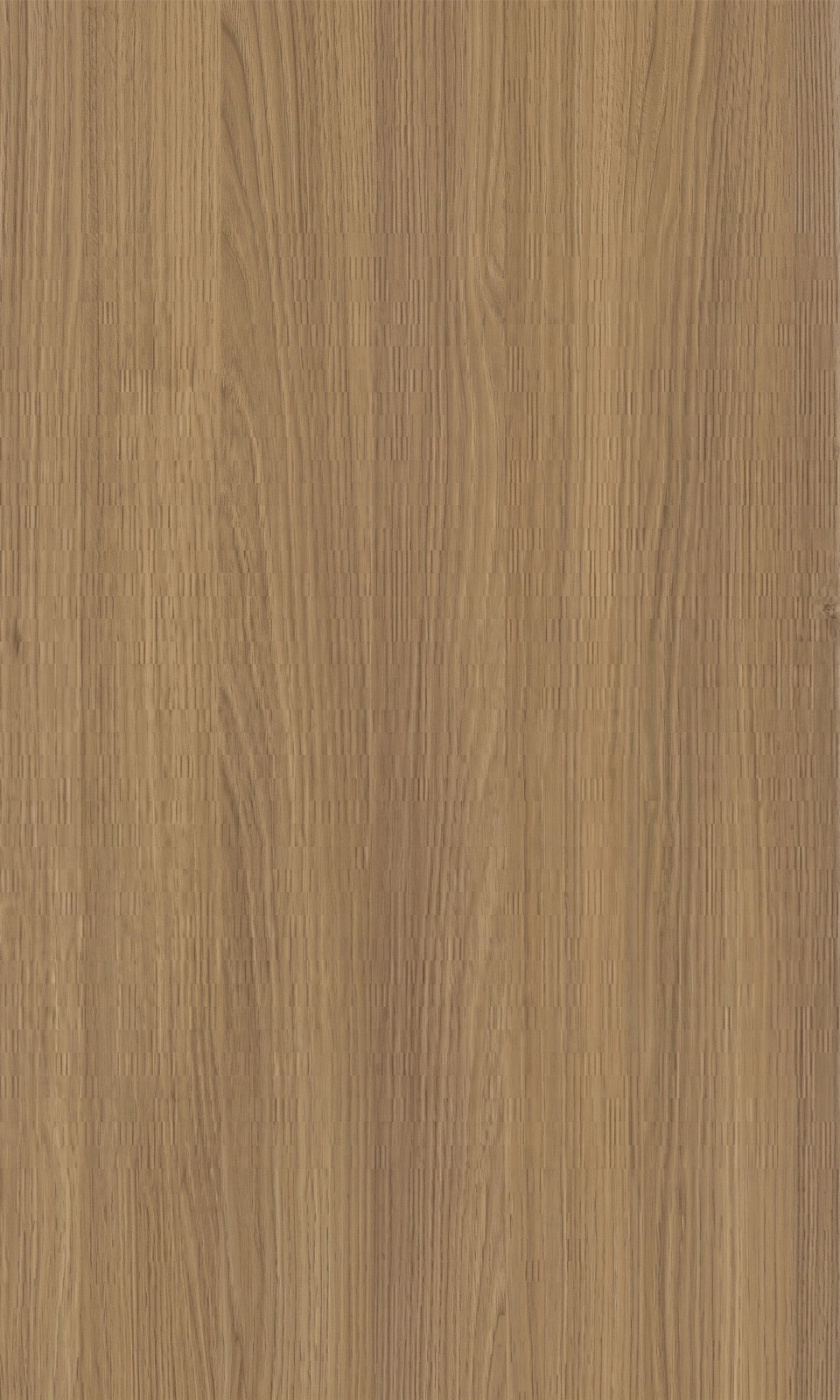 კედლის პანელი AUTUMN OAK 8041
