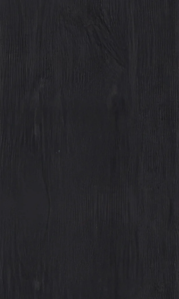 კედლის პანელი JAPANESE CHARRED WOOD 8009